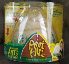 Ant Hill Habitat